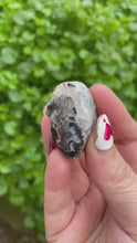 Load and play video in Gallery viewer, Natural Agate Geode with Quartz Specimen
