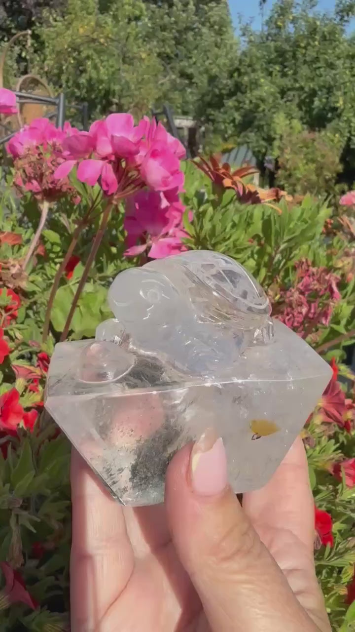 Hand Carved Garden Quartz Turtle with Rainbows