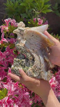 Load and play video in Gallery viewer, Large 8th Vein Ocean Jasper Phoenix Carving
