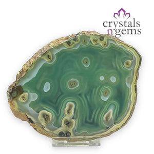 Green Agate Crystal Slice