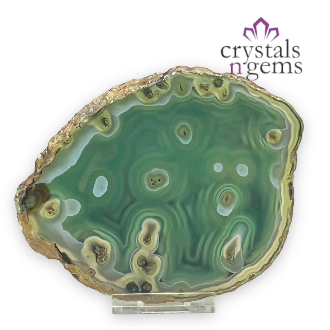 Green Agate Crystal Slice